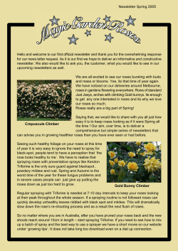 Newsletter Number 1 - Magic Garden Roses