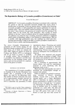 The Reproductive Biology of Cyrtandra grandijlora