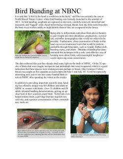 banding report 2011 - North Branch Nature Center