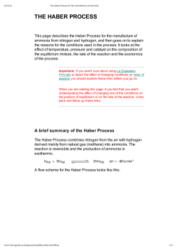 the haber process
