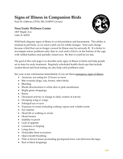 Signs of illness in pet birds