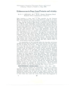 Echinococcus in Dogs from Pretoria and vicinity.