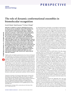 perspective - Le site a d&eacute;m&eacute;nag&eacute;