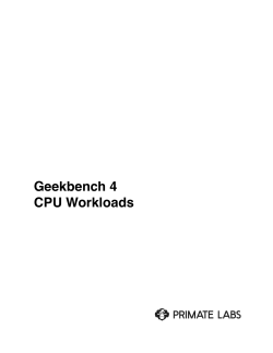 CPU Workloads PDF
