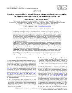 Breaking conceptual locks in modelling root