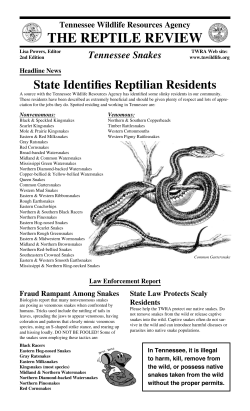 the reptile review - The Tennessee Herpetological Society