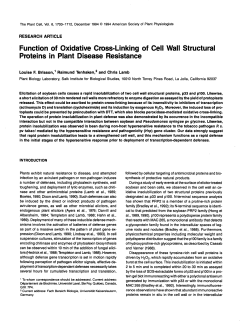 Function of Oxidative Cross-Linking of Cell Wall Structural Proteins