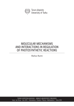molecular mechanisms and interactions in regulation of