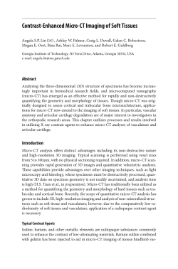 Contrast-Enhanced Micro-CT Imaging of Soft Tissues