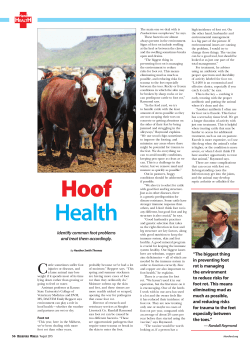 Identify common foot problems and treat them accordingly. &ldquo;The