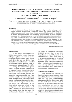 studiul structural comparativ asupra frunzelor