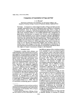 Comparison of Gastrulation in Frogs and Fish1 SYNOPSIS