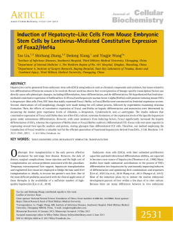 Induction of hepatocyte‐like cells from mouse embryonic stem cells