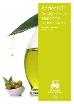 Ancient Oil - The Tesco Eat Happy Project