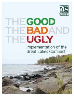 Implementation of the Great Lakes Compact