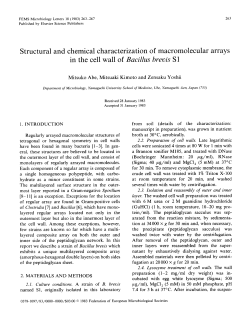 Structural and chemical characterization of macromolecular arrays