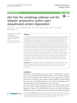 p62 links the autophagy pathway and the ubiqutin&ndash;proteasome