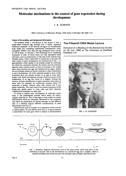 Molecular mechanisms in the control of gene expression during