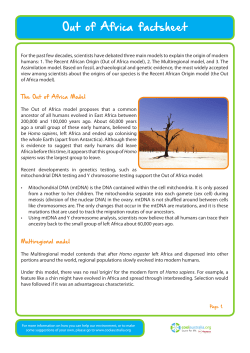 Out of Africa factsheet