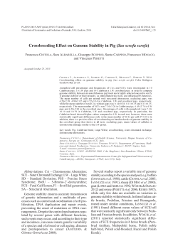 Crossbreeding effect on genome stability in pig (Sus