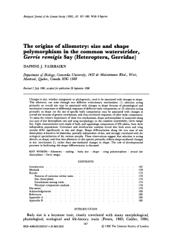 size and shape polymorphism in the common