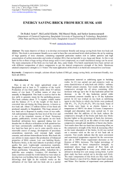 energy saving brick from rice husk ash