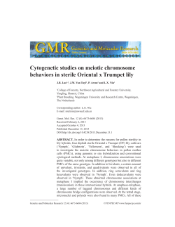 Cytogenetic studies on meiotic chromosome