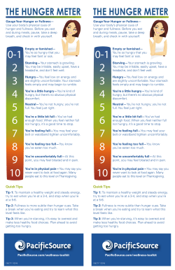 the hunger meter the hunger meter