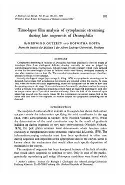 Time-lapse film analysis of cytoplasmic streaming