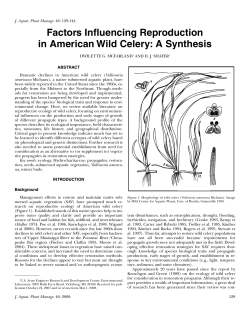 Factors Influencing Reproduction in American Wild Celery: A