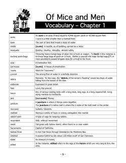Of Mice and Men - VOCAB - BW