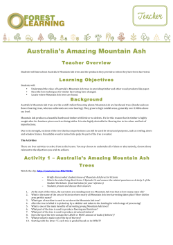 Australia`s Amazing Mountain Ash