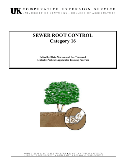 Sewer Line Root Control - University of Kentucky