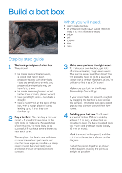 Build a bat box