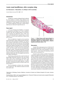 Acute renal insufficiency after scorpion sting