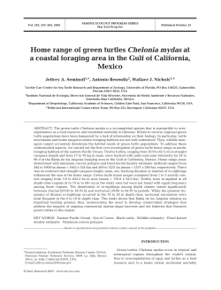 Home range of green turtles Chelonia mydas at a coastal foraging