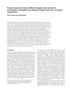 Protein contact networks at different length scales and role of