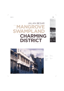 mangrove swampland charming district
