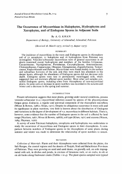 The Occurrence of Mycorrhizas in Halophytes