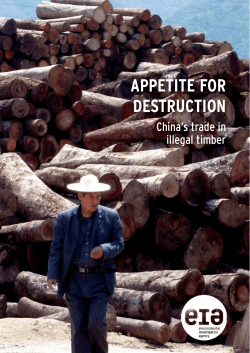 Appetite for Destruction: China`s Trade in Illegal Timber