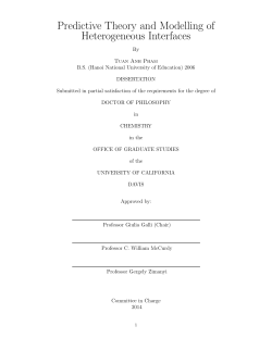 Ph.D. Thesis - Galli Group