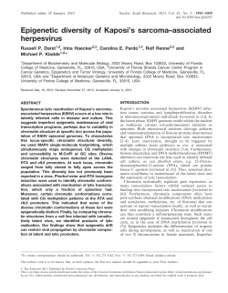 Epigenetic diversity of Kaposi`s sarcoma&ndash;associated herpesvirus