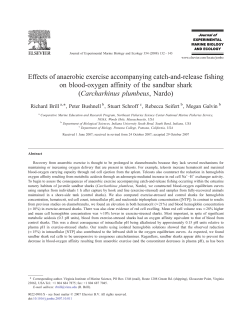Effects of anaerobic exercise accompanying catch-and