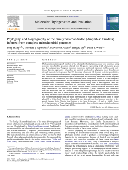 Phylogeny and biogeography of the family