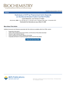 Hydrolysis of ATP by Polymerized Actin