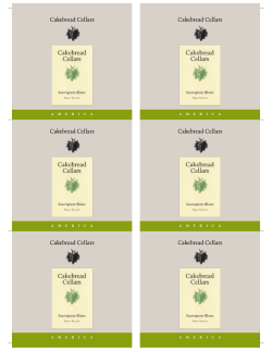 americaamericaamerica americaamericaamerica