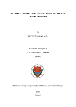 Dr. Kap&aacute;s Levente
