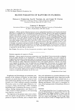 BLOOD PARASITES OF RAPTORS IN FLORIDA