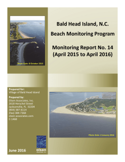 Executive Summary - Village of Bald Head Island