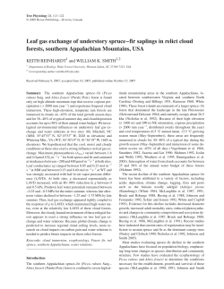 Leaf gas exchange of understory spruce&ndash;fir saplings in relict cloud